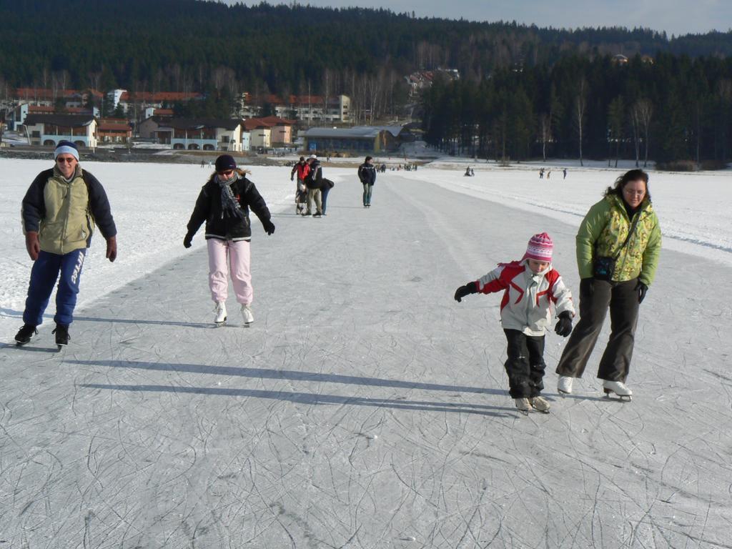 Mysi V Bote Lipno Lejlighed Lipno nad Vltavou Eksteriør billede