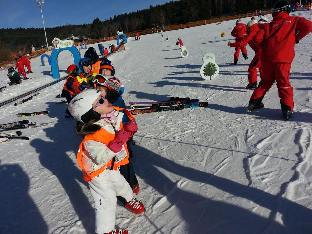 Mysi V Bote Lipno Lejlighed Lipno nad Vltavou Eksteriør billede